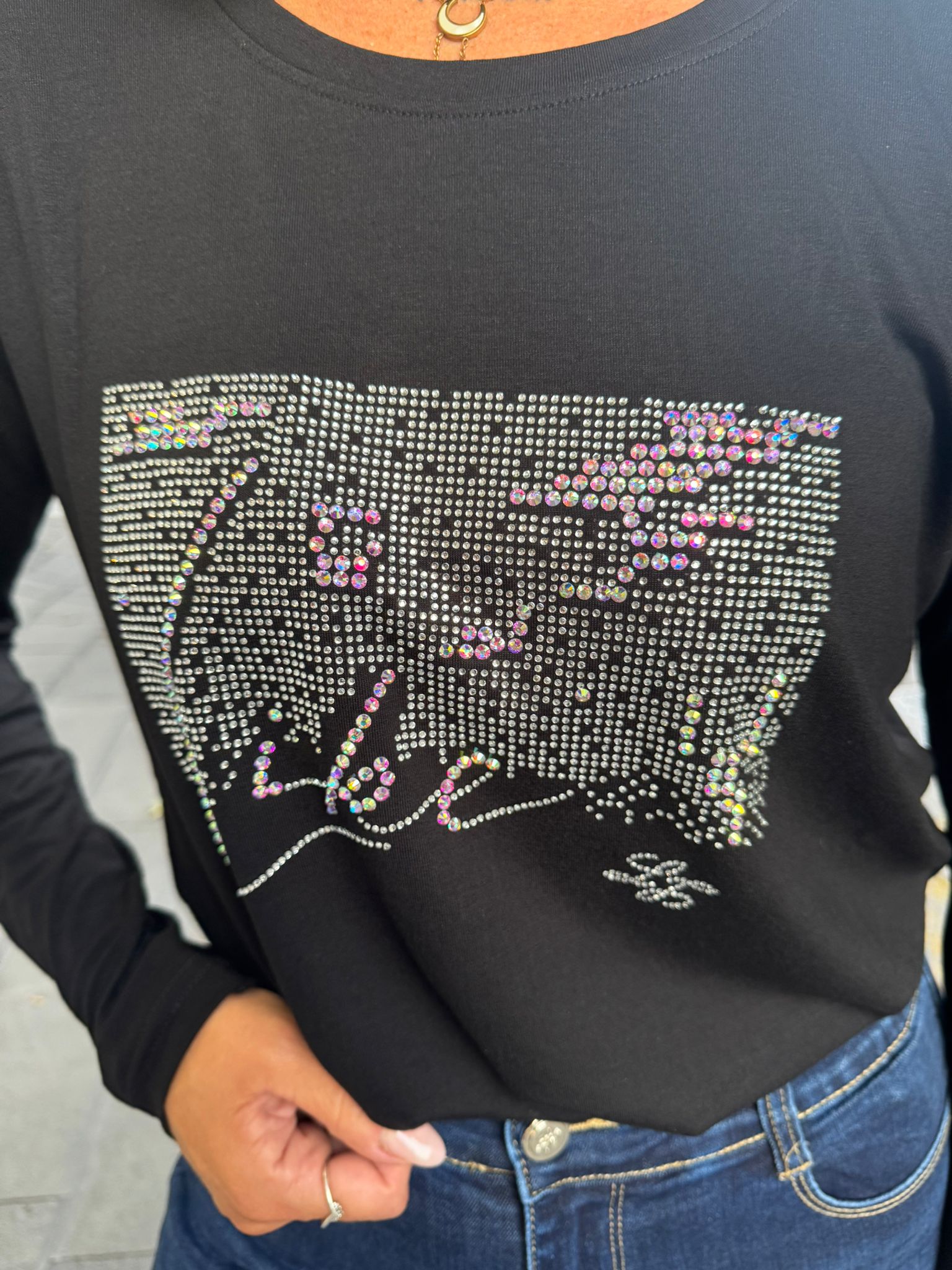 Maglia manica lunga di caldo cotone con strass Lizalù REA